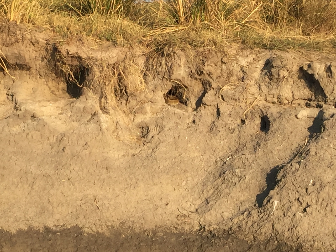 [28808] 2016_07_02_16_46_35_Africa_iPhone_6_Plus_IMG_4806_07264.jpg