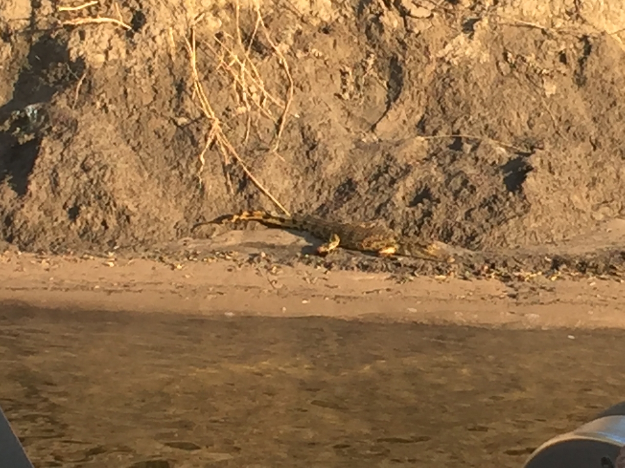 [28811] 2016_07_02_16_49_52_Africa_iPhone_6_Plus_IMG_4807_07265.jpg