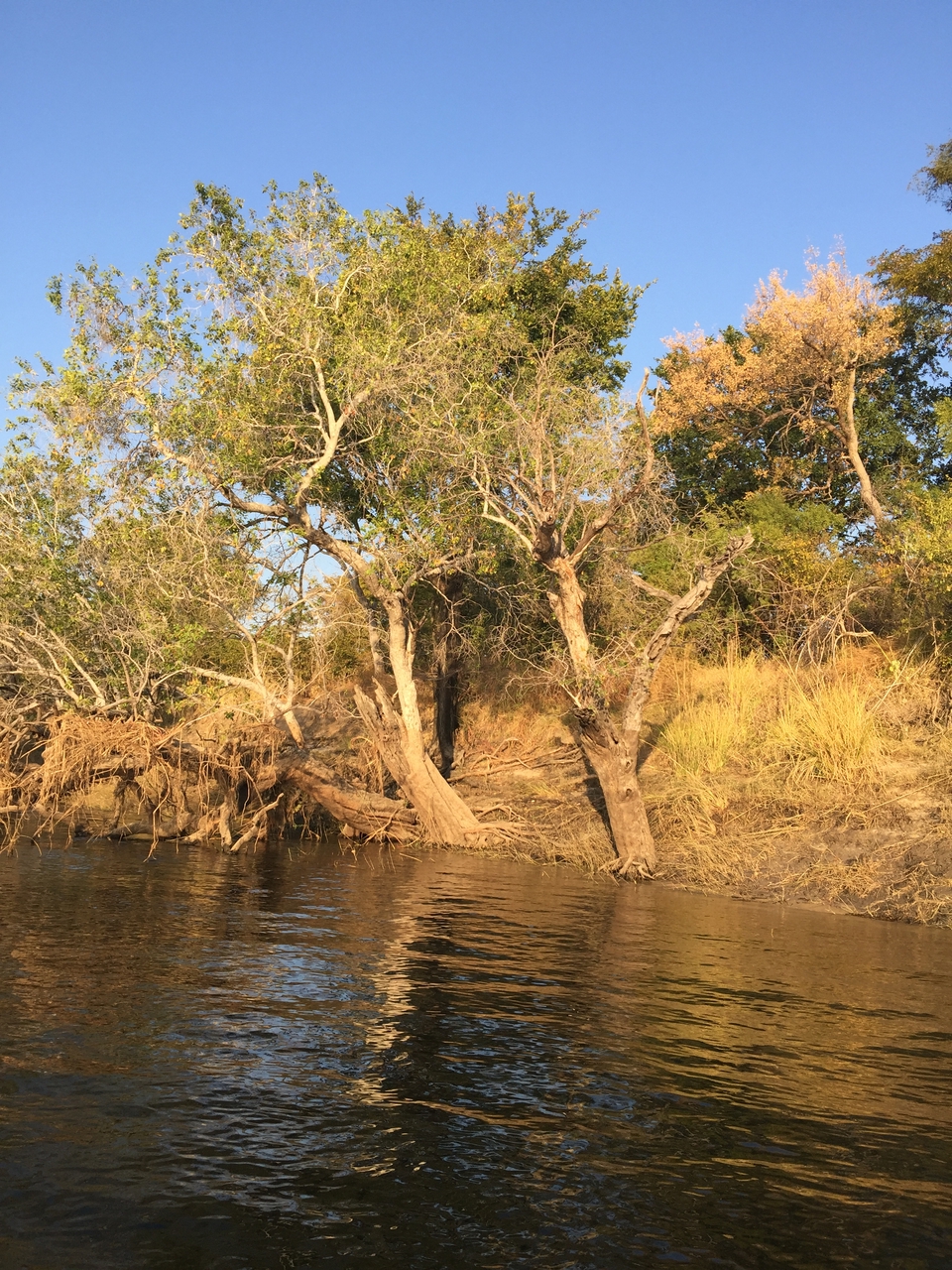 [28822] 2016_07_02_17_00_13_Africa_iPhone_6_Plus_IMG_4812_00685.jpg