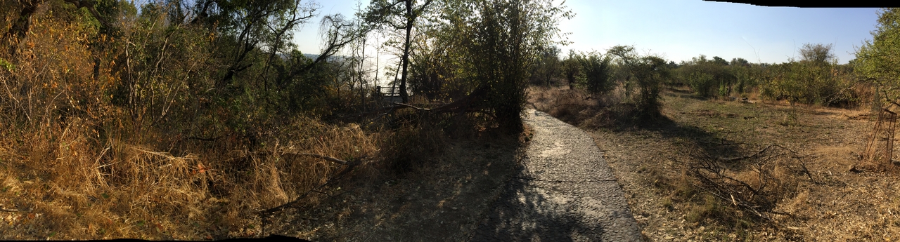 [32670] 2016_07_03_15_58_07_Africa_iPhone_6_Plus_IMG_4944_07369.jpg