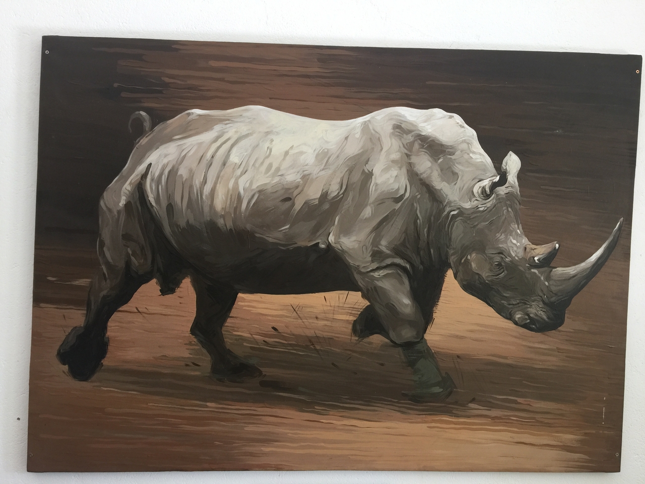 [34230] 2016_07_04_12_20_22_Africa_iPhone_6_Plus_IMG_4996_00341.jpg