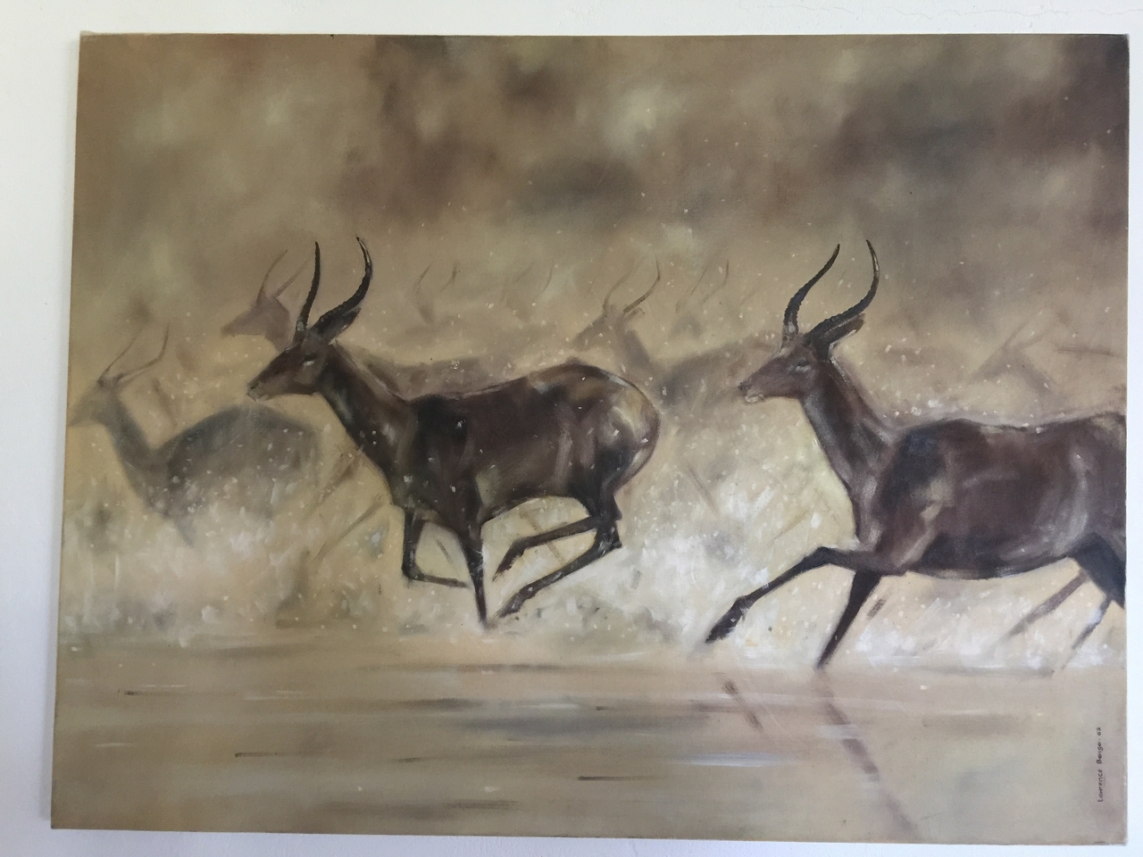 [34247] 2016_07_04_12_21_54_Africa_iPhone_6_Plus_IMG_5002_07418.jpg