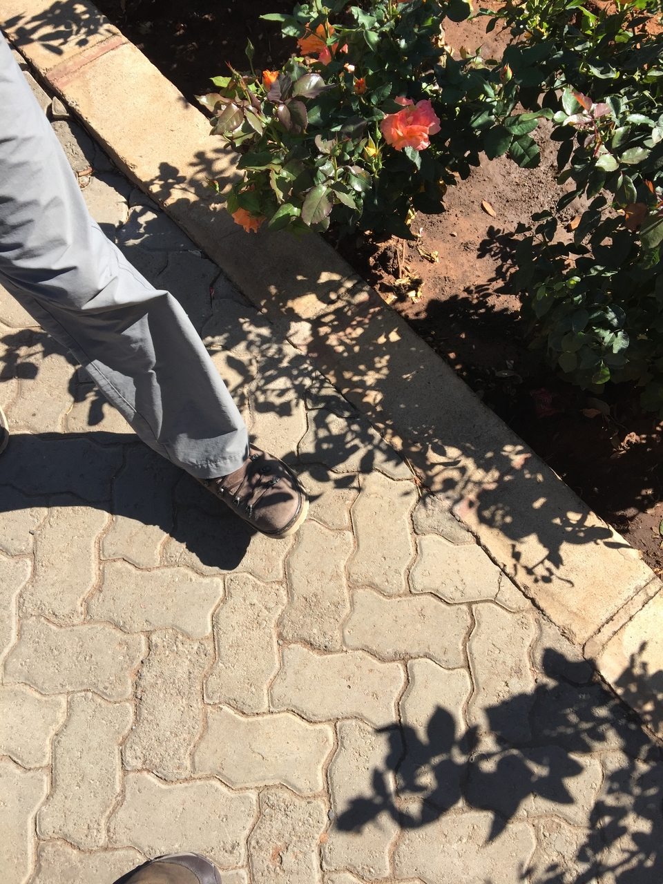 [34485] 2016_07_05_11_08_13_Africa_iPhone_6_Plus_IMG_5033_00856.jpg