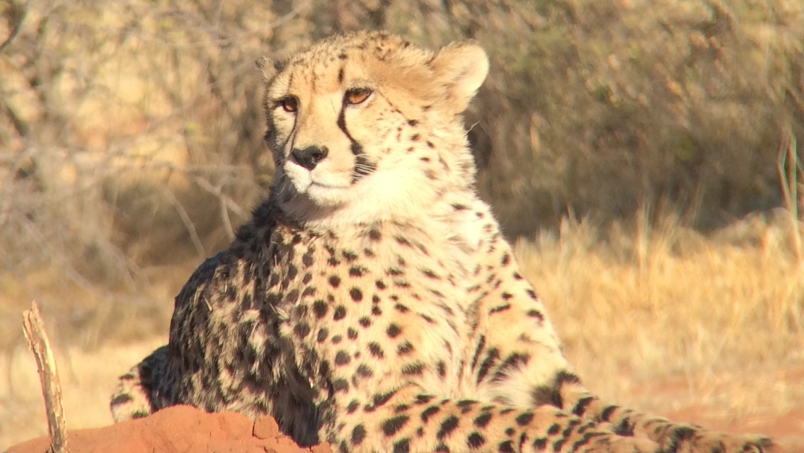 [6716] 2016_06_23_10_58_24_Africa_Other_Cameras_IMG_8201_05960.jpg