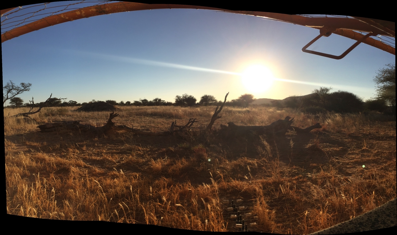 [34570] 2016_08_07_18_20_10-04_00_Africa_Other_Cameras_IMG_7984_00565.jpg