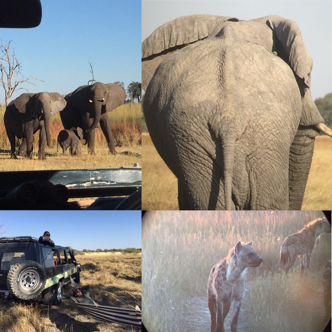 [34597] 2016_08_07_18_30_55-04_00_Africa_Other_Cameras_IMG__03793.jpg