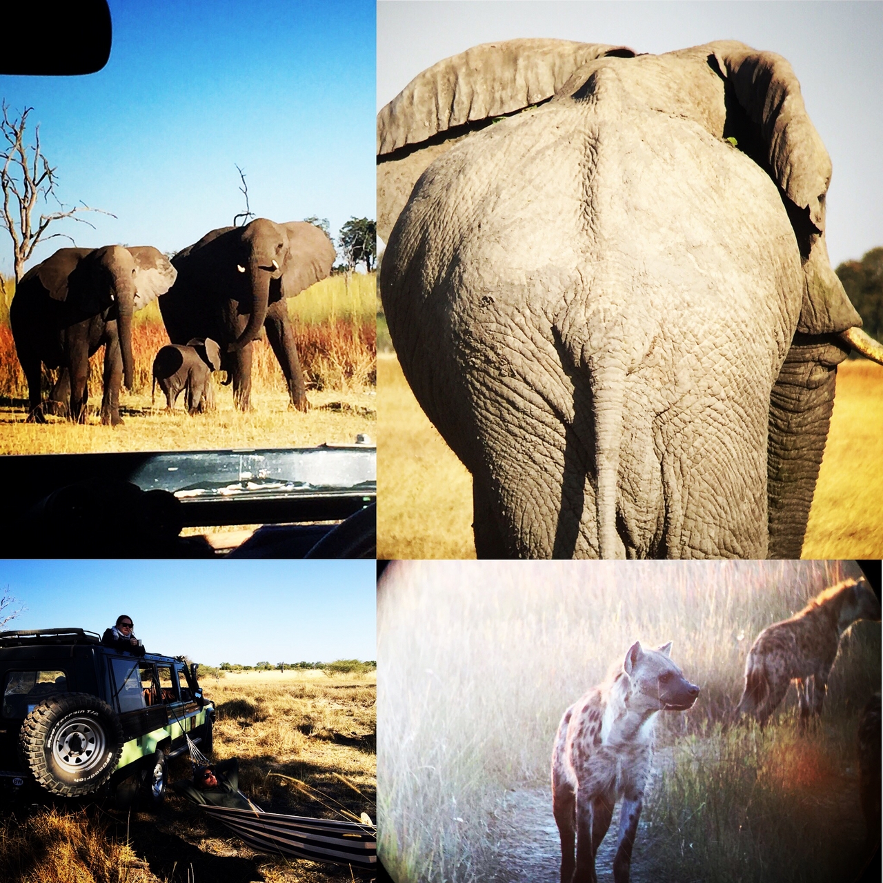 [34612] 2016_08_07_18_36_59-04_00_Africa_Other_Cameras_IMG_8966_03777.jpg