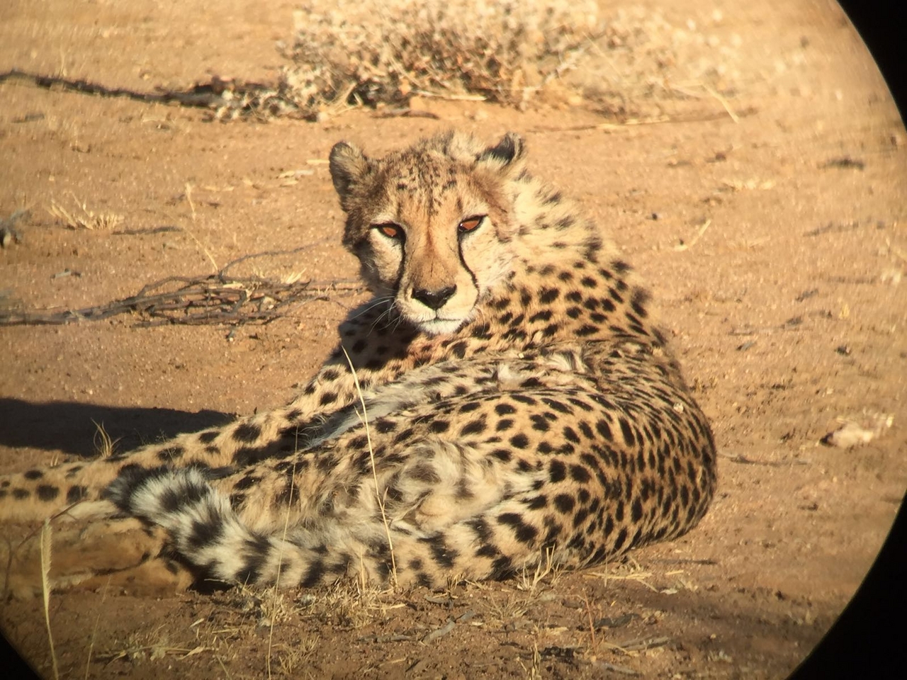 [34691] 2016_08_07_19_03_34-04_00_Africa_Other_Cameras_IMG_3415_06689.jpg