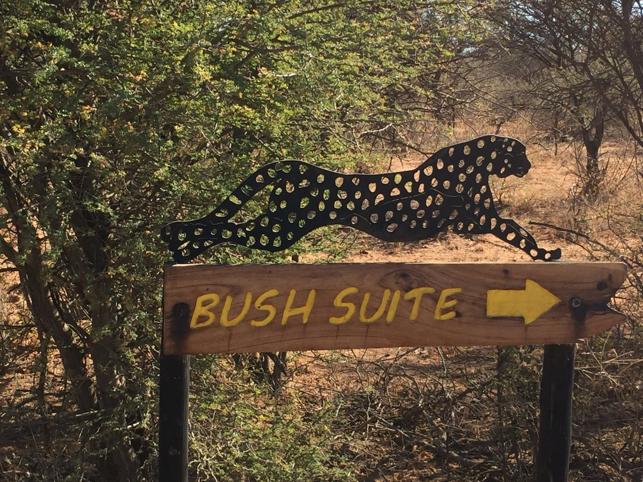 [34692] 2016_08_07_19_04_39-04_00_Africa_Other_Cameras_IMG_3417_00107.jpg