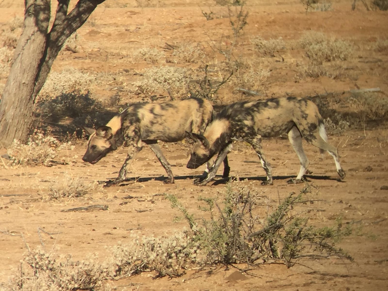 [34695] 2016_08_07_19_04_53-04_00_Africa_Other_Cameras_IMG_3425_06699.jpg