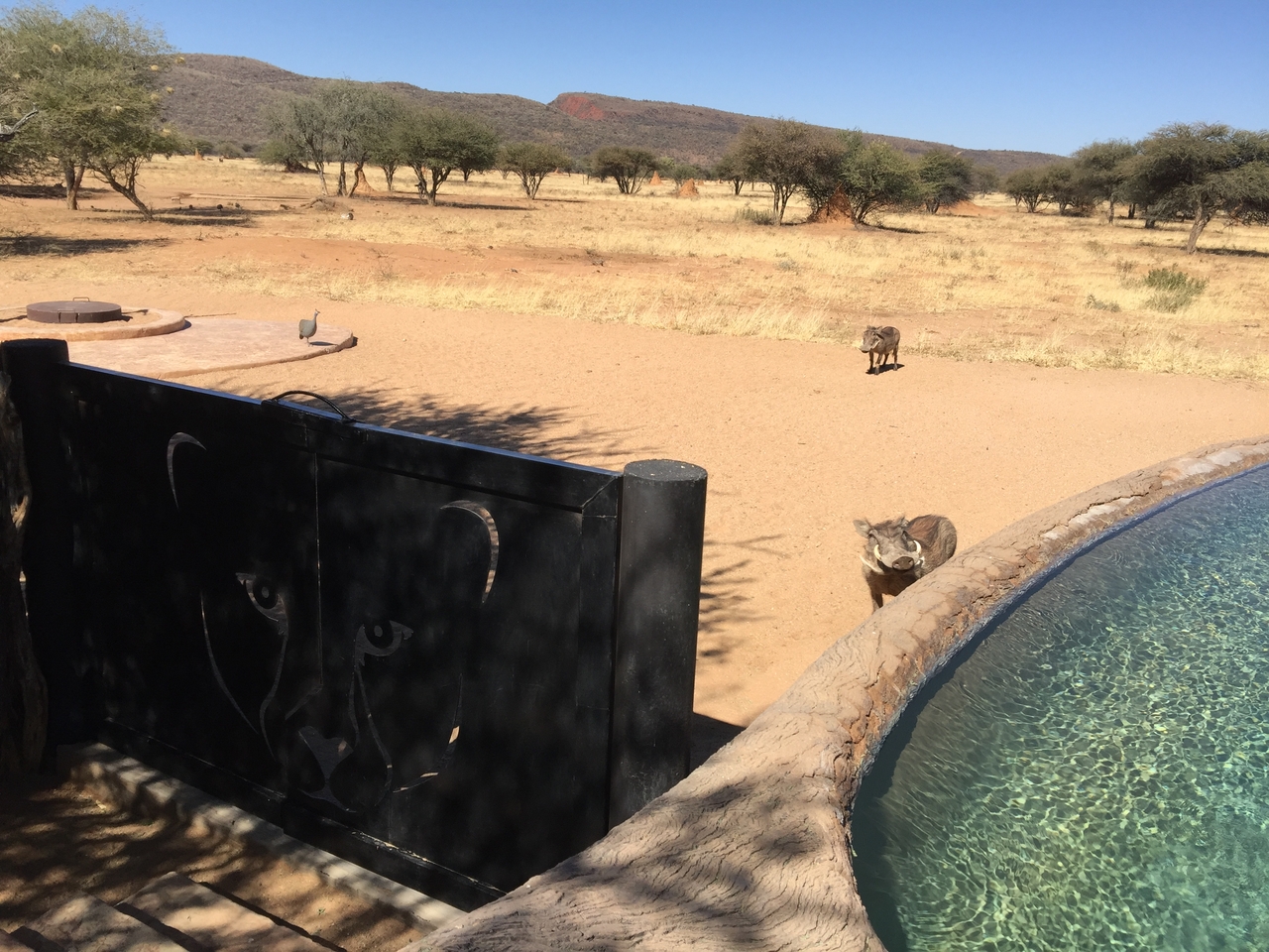 [34697] 2016_08_07_19_05_41-04_00_Africa_Other_Cameras_IMG_3418_06692.jpg