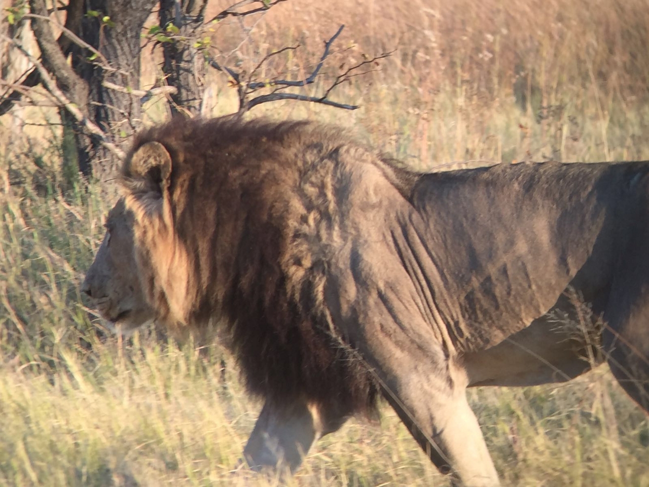 [34745] 2016_08_07_19_19_54-04_00_Africa_Other_Cameras_IMG_4960_07381.jpg