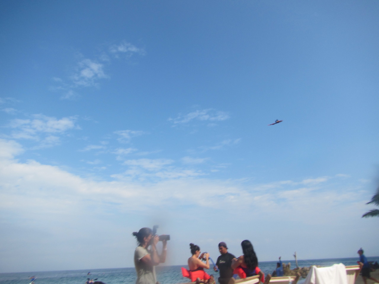 The Wedding of Kate and Ken | Puerto Vallarta, Mexico | Fri, 30 Dec 2016 12:30:03 PM The Wedding of Kate and Ken | Puerto Vallarta, Mexico | Fri, 30 Dec 2016 12:30:03 PM