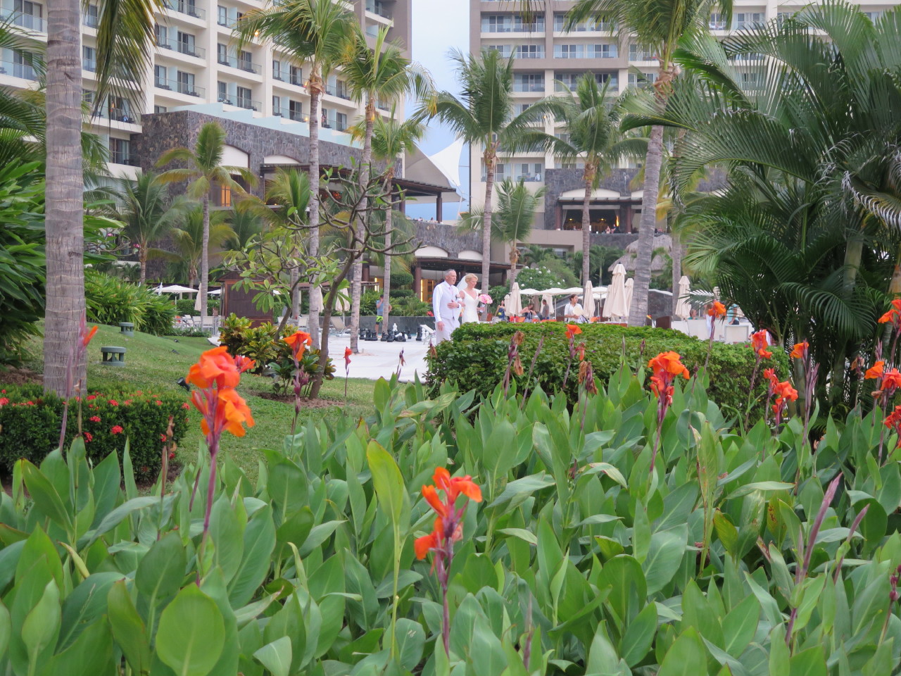 The Wedding of Kate and Ken | Puerto Vallarta, Mexico | Fri, 30 Dec 2016 | 6:53:02 PM The Wedding of Kate and Ken | Puerto Vallarta, Mexico | Fri, 30 Dec 2016 | 6:53:02 PM