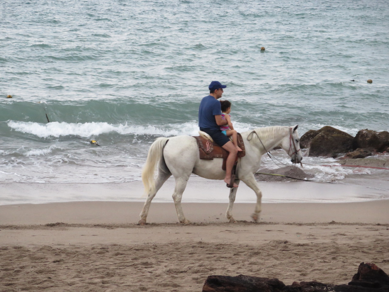 The Wedding of Kate and Ken | Puerto Vallarta, Mexico | Fri, 30 Dec 2016 | 7:17:41 PM The Wedding of Kate and Ken | Puerto Vallarta, Mexico | Fri, 30 Dec 2016 | 7:17:41 PM