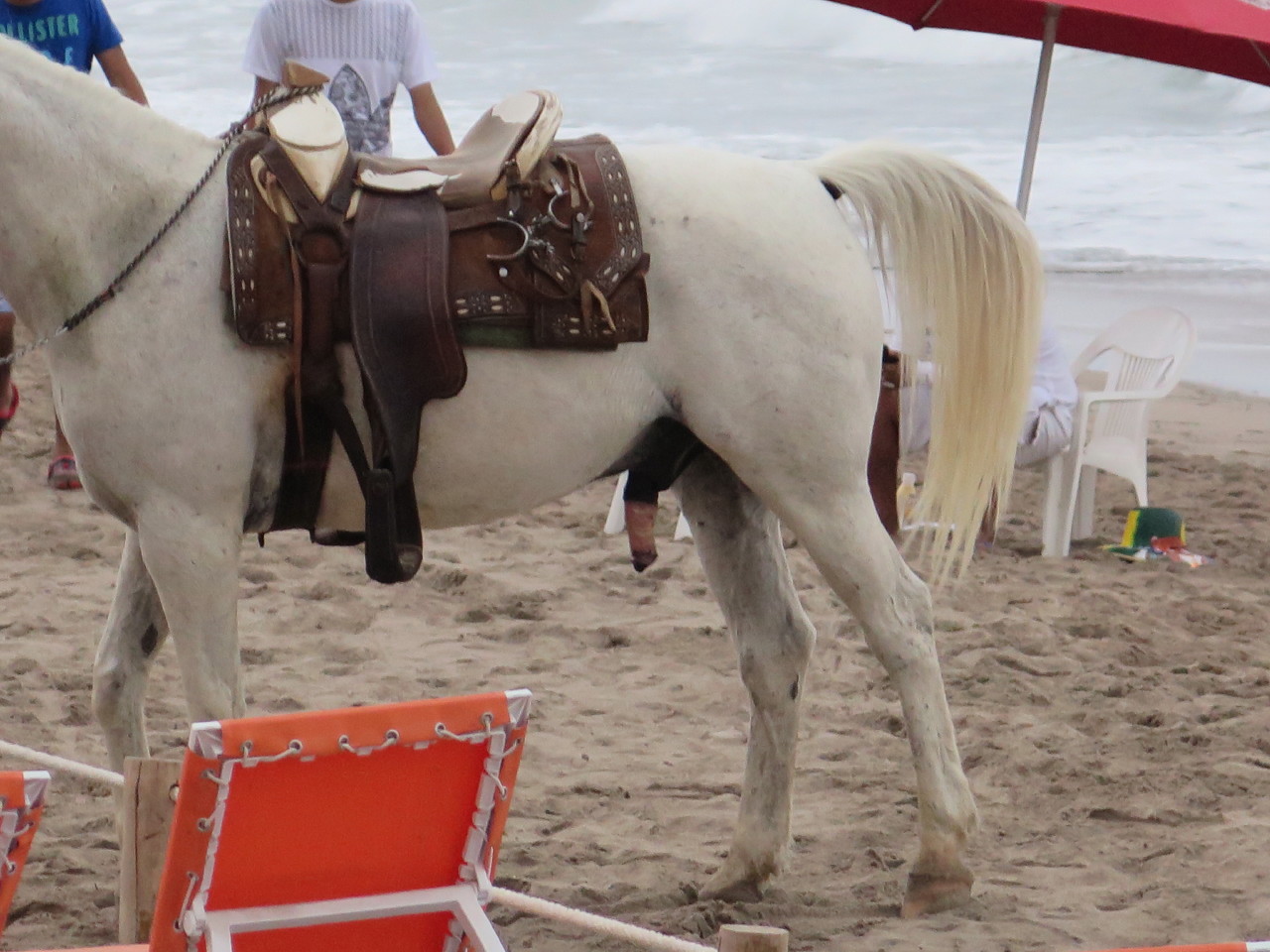 The Wedding of Kate and Ken | Puerto Vallarta, Mexico | Fri, 30 Dec 2016 | 7:23:45 PM The Wedding of Kate and Ken | Puerto Vallarta, Mexico | Fri, 30 Dec 2016 | 7:23:45 PM