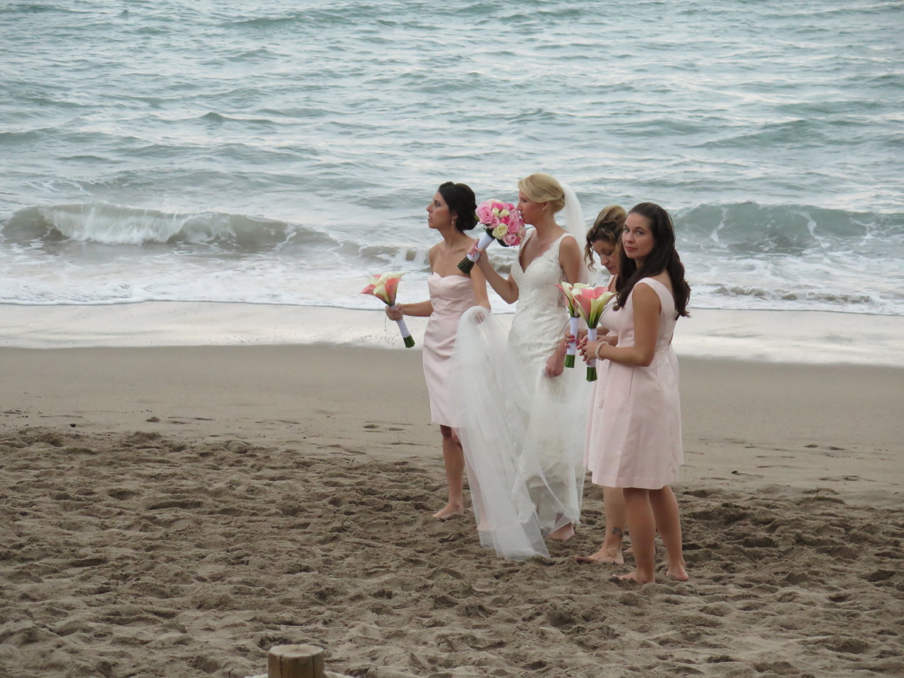 The Wedding of Kate and Ken | Puerto Vallarta, Mexico | Fri, 30 Dec 2016 | 7:26:49 PM The Wedding of Kate and Ken | Puerto Vallarta, Mexico | Fri, 30 Dec 2016 | 7:26:49 PM
