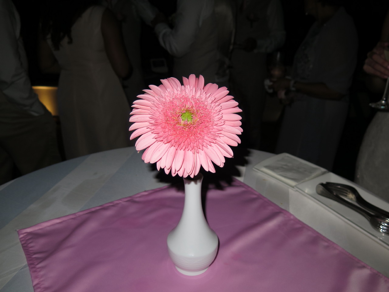 The Wedding of Kate and Ken | Puerto Vallarta, Mexico | Fri, 30 Dec 2016 | 7:58:23 PM The Wedding of Kate and Ken | Puerto Vallarta, Mexico | Fri, 30 Dec 2016 | 7:58:23 PM