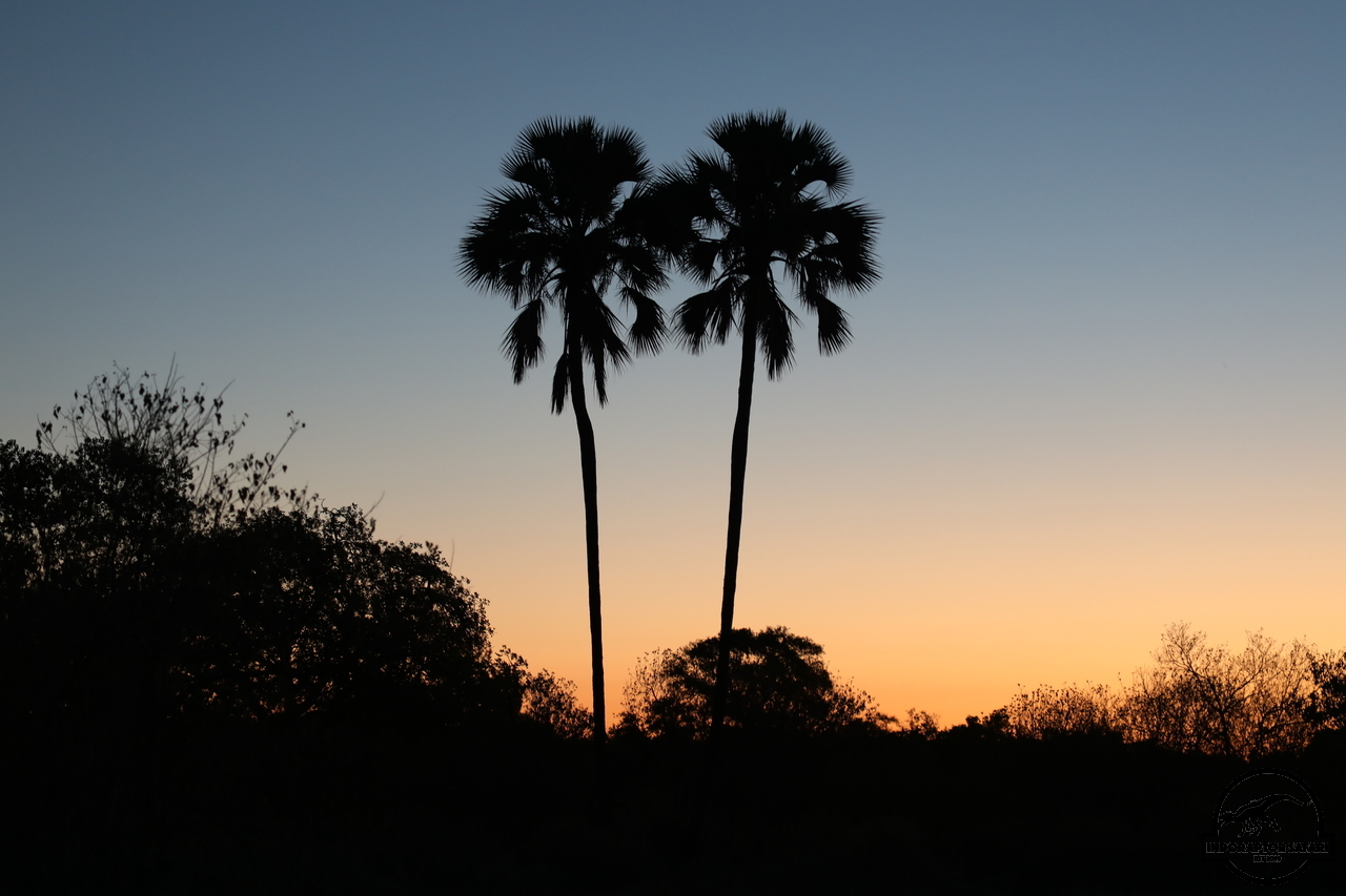 [2] 2019_06_22_23_25_25_Africa_Canon_EOS_5D_Mark_IV_IMG_0003593_00002.jpg
