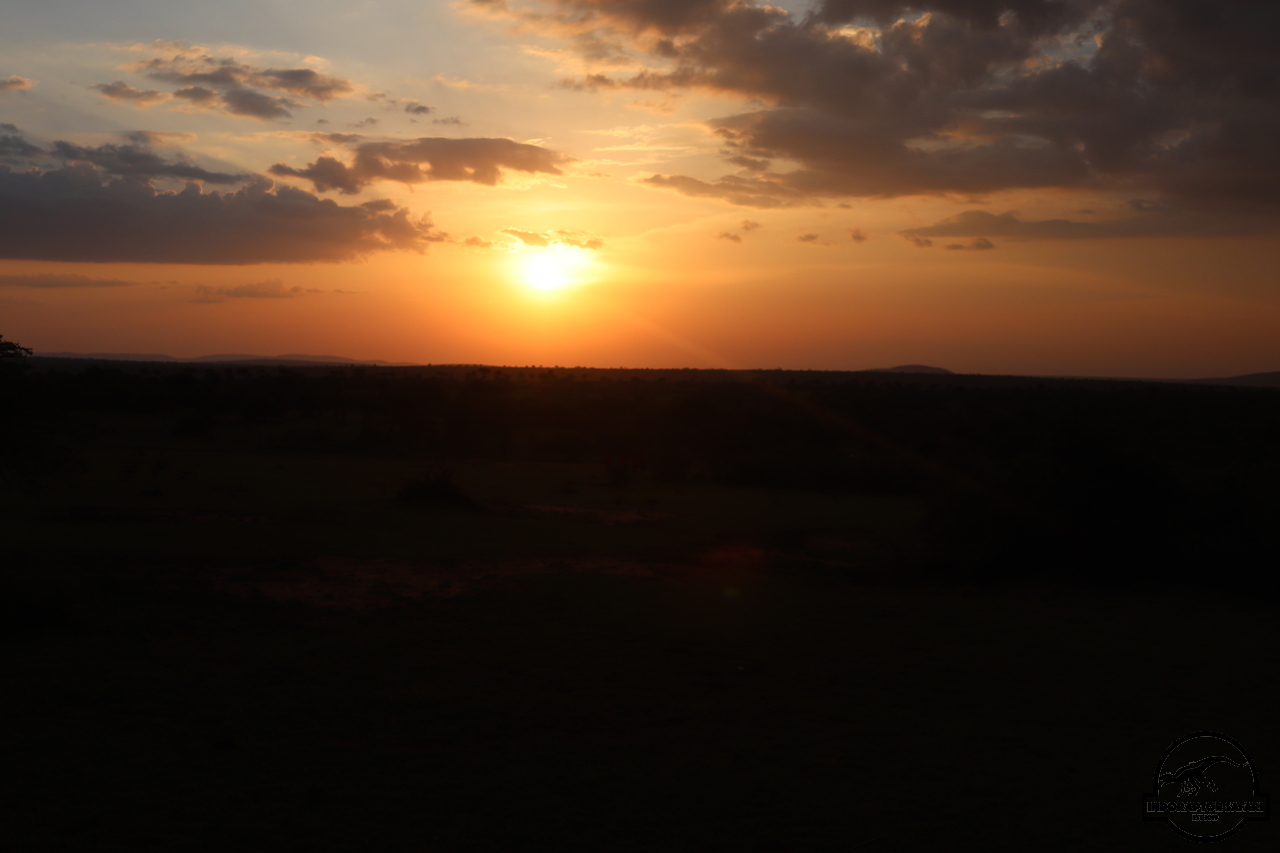 [3] 2019_06_29_17_25_05_Africa_Canon_EOS_77D_IMG_1921_00004.jpg