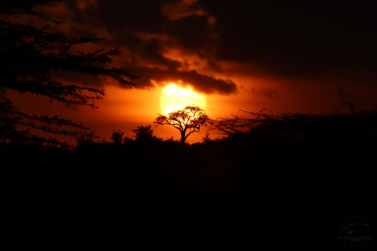 [4] 2019_07_01_17_32_23_Africa_Canon_EOS_77D_IMG_2921_00005.jpg