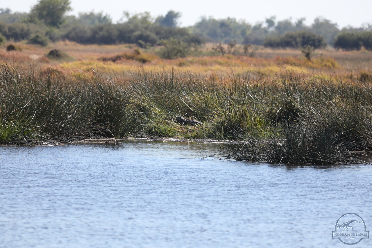 [30] 2019_06_20_15_58_22_Africa_Canon_EOS_5D_Mark_IV_IMG_0001235_00001.jpg