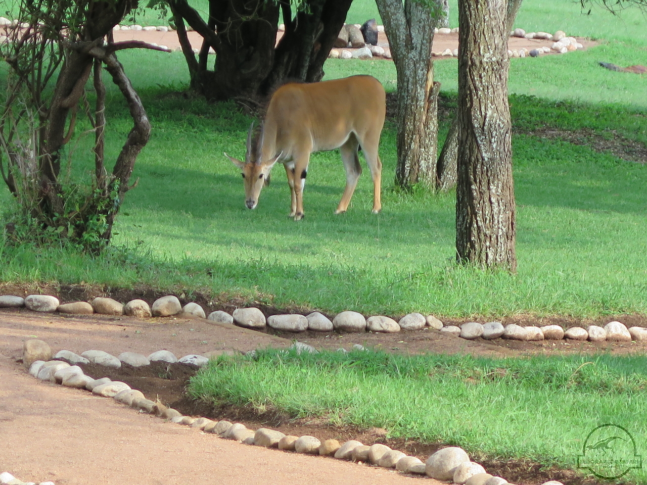 [43] 2019_06_29_09_48_09_Africa_Canon_PowerShot_G16_IMG_0195_00022.jpg
