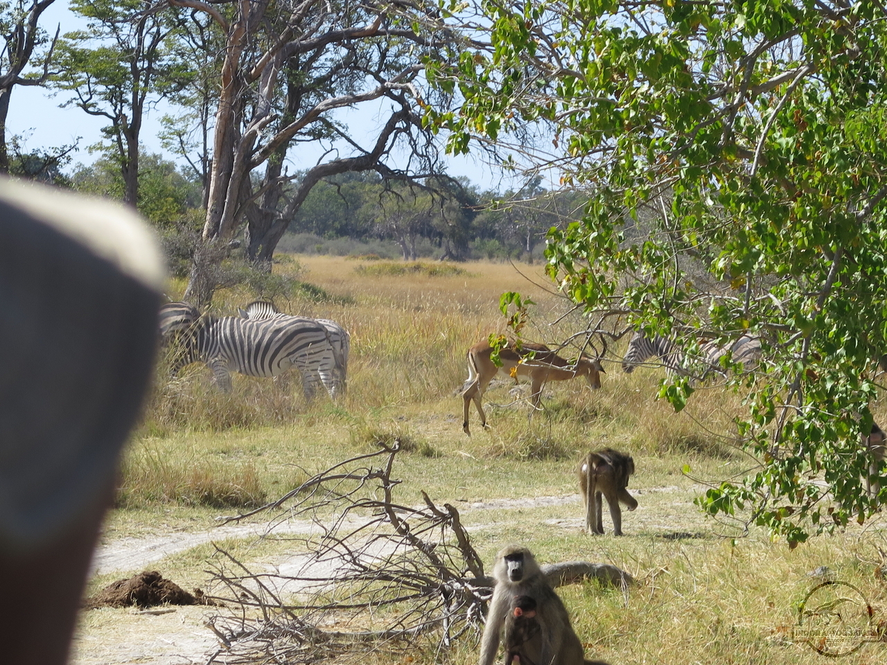 [121] 2019_06_21_05_05_24_Africa_Canon_PowerShot_G16_IMG_0105_00054.jpg