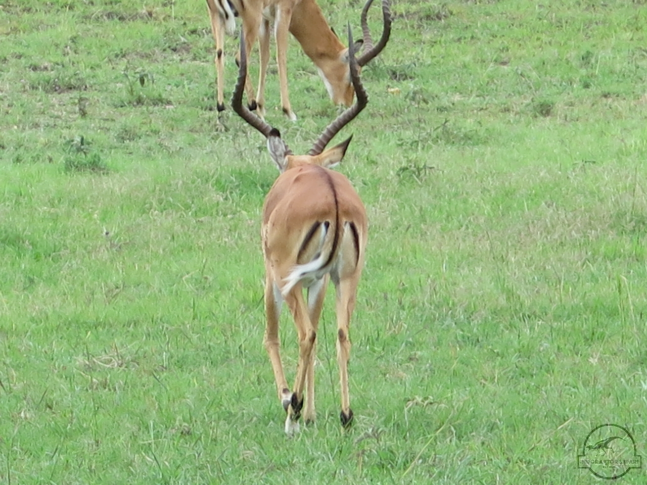 [126] 2019_07_04_02_40_18_Africa_Canon_PowerShot_G16_IMG_0036_00028.jpg