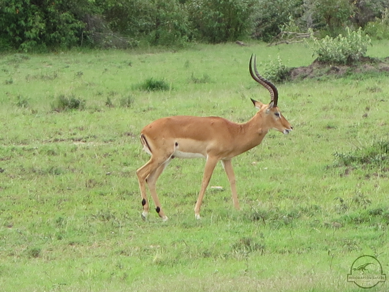 [132] 2019_07_04_02_40_36_Africa_Canon_PowerShot_G16_IMG_0042_00030.jpg