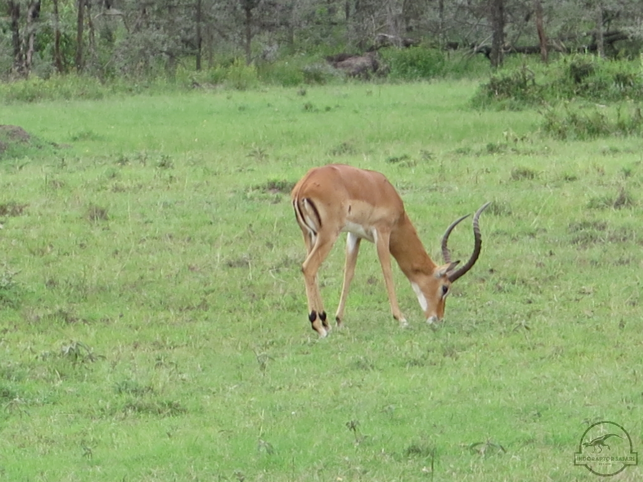 [135] 2019_07_04_02_40_49_Africa_Canon_PowerShot_G16_IMG_0044_00031.jpg