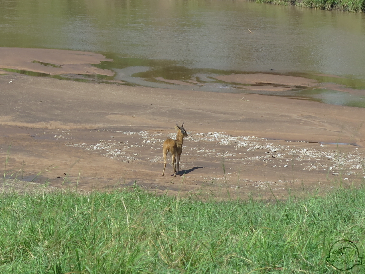 [140] 2019_07_01_04_08_28_Africa_Canon_PowerShot_G16_IMG_0187_00002.jpg
