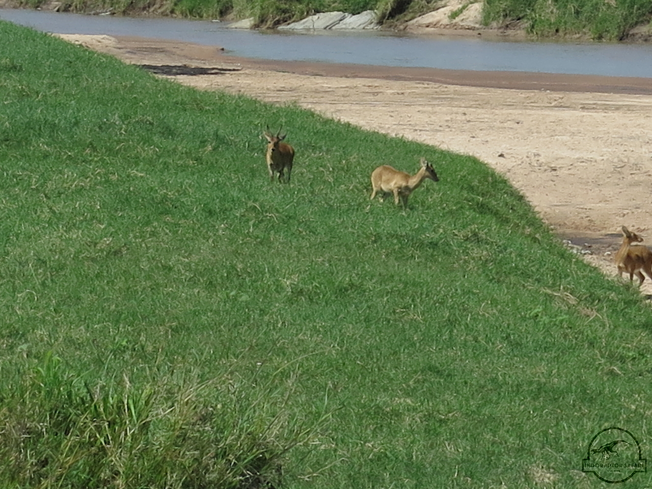 [145] 2019_07_01_04_09_07_Africa_Canon_PowerShot_G16_IMG_0193_00058.jpg