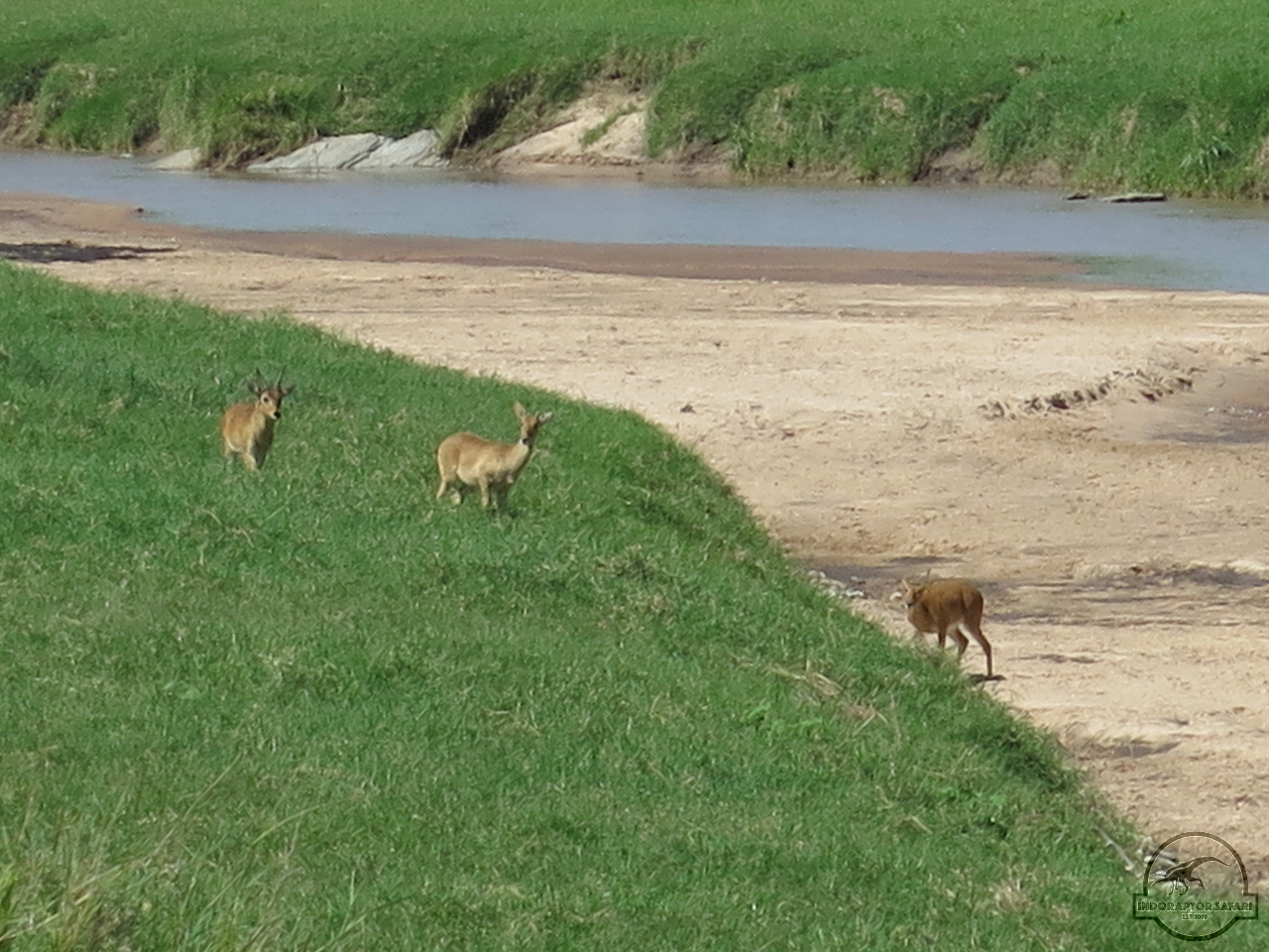 [148] 2019_07_01_04_09_10_Africa_Canon_PowerShot_G16_IMG_0194_00059.jpg