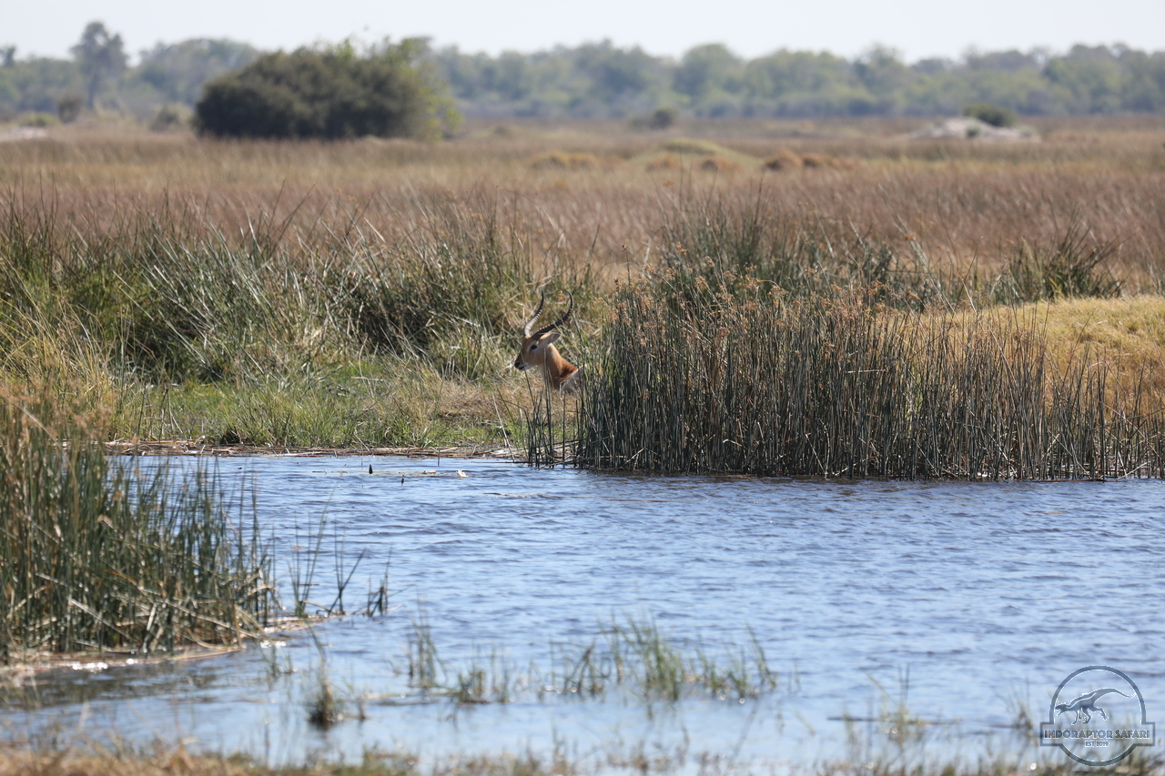 [157] 2019_06_20_15_58_31_Africa_Canon_EOS_5D_Mark_IV_IMG_0001241_00062.jpg