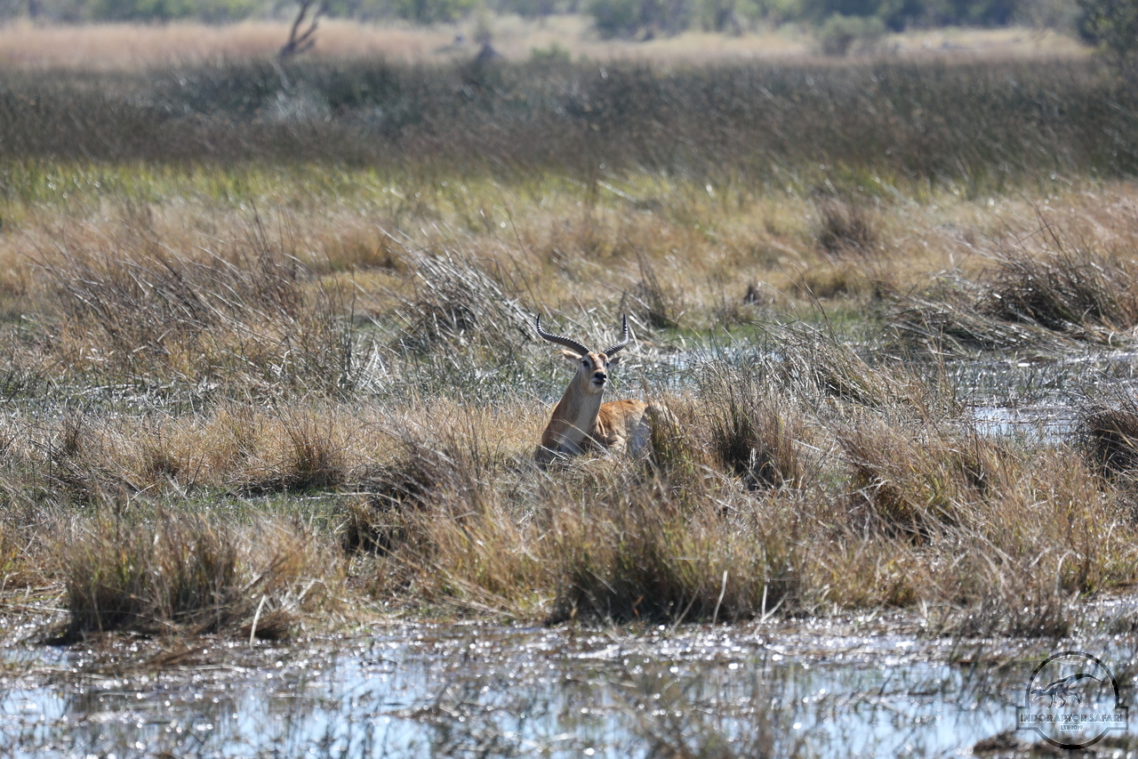 [160] 2019_06_20_16_02_15_Africa_Canon_EOS_5D_Mark_IV_IMG_0001248_00063.jpg