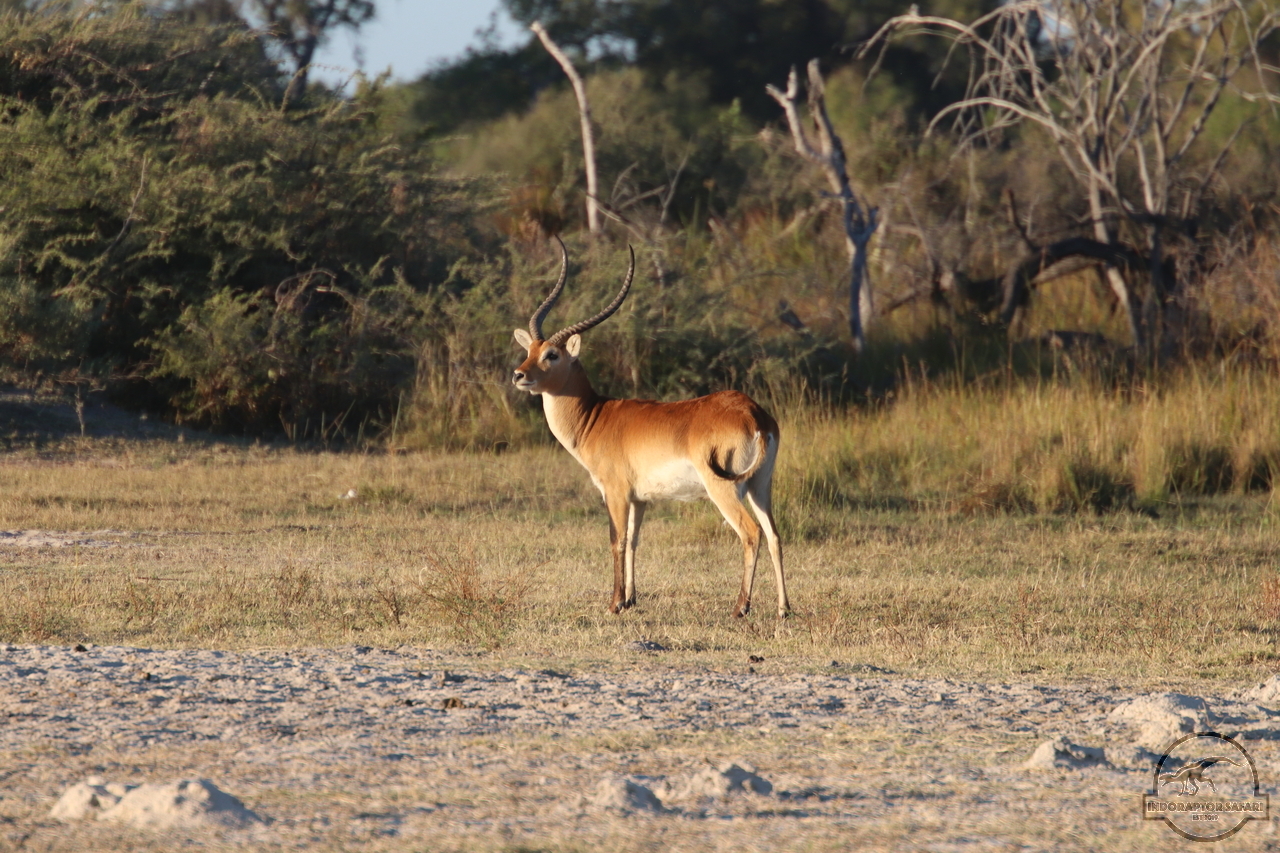 [163] 2019_06_21_17_18_46_Africa_Canon_EOS_77D_IMG_0796_00064.jpg