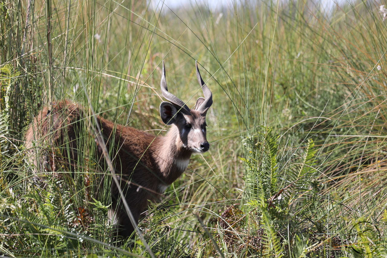 [165] 2019_06_21_18_03_06_Africa_Canon_EOS_5D_Mark_IV_IMG_0004290_00044.jpg