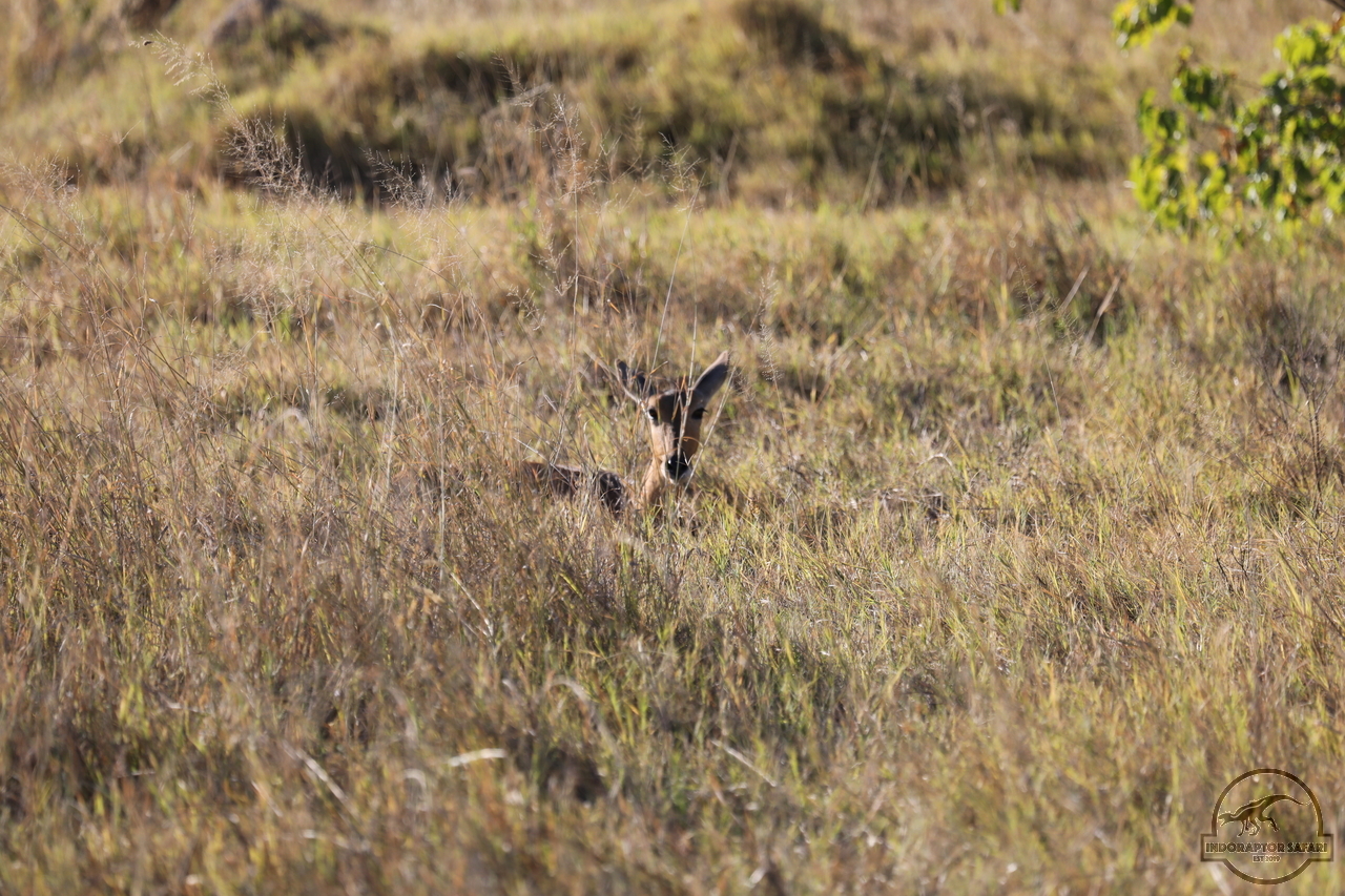 [171] 2019_06_21_21_37_45_Africa_Canon_EOS_5D_Mark_IV_IMG_0004338_00046.jpg