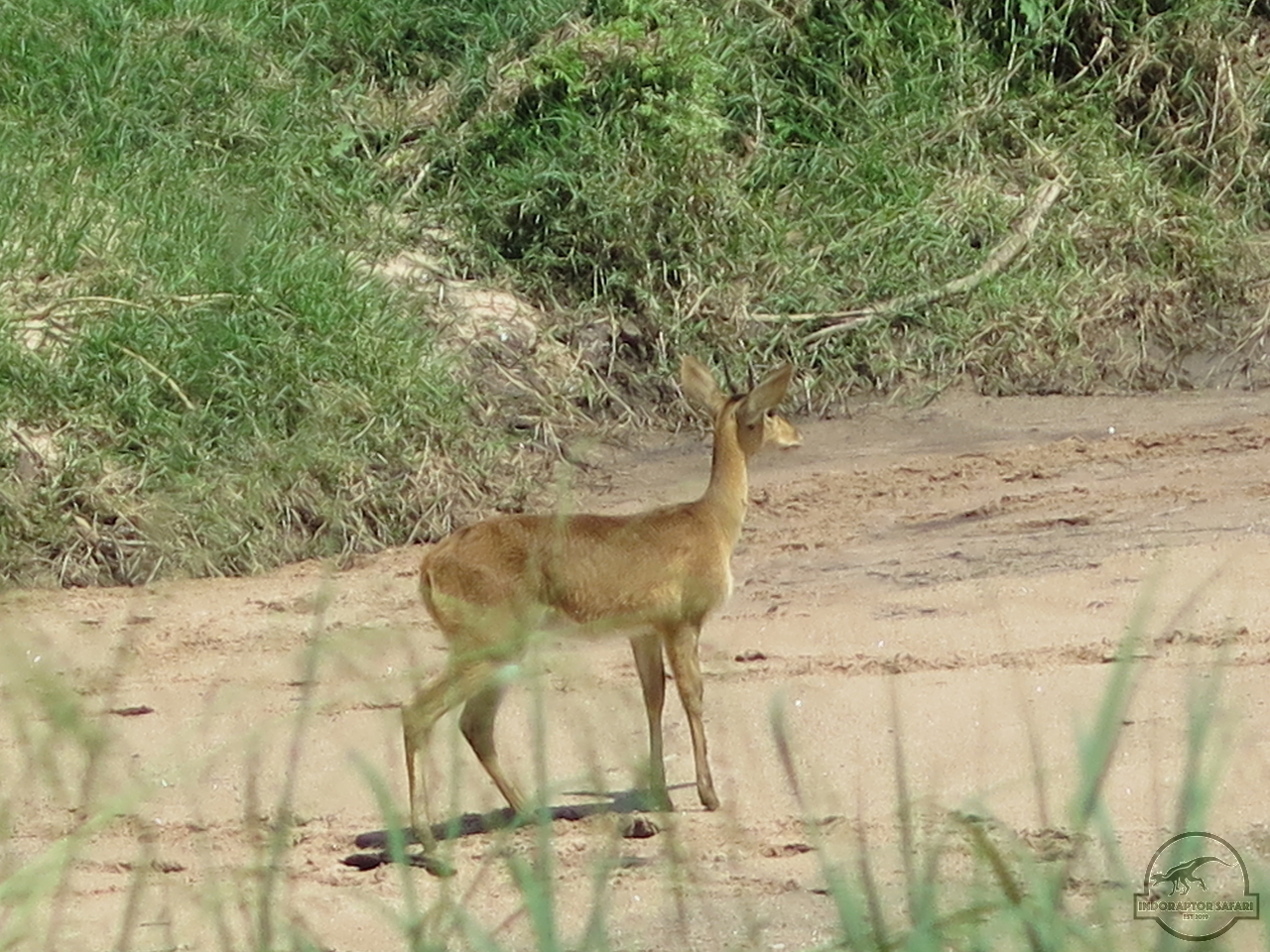 [181] 2019_07_03_05_30_32_Africa_Canon_PowerShot_G16_IMG_0142_00069.jpg