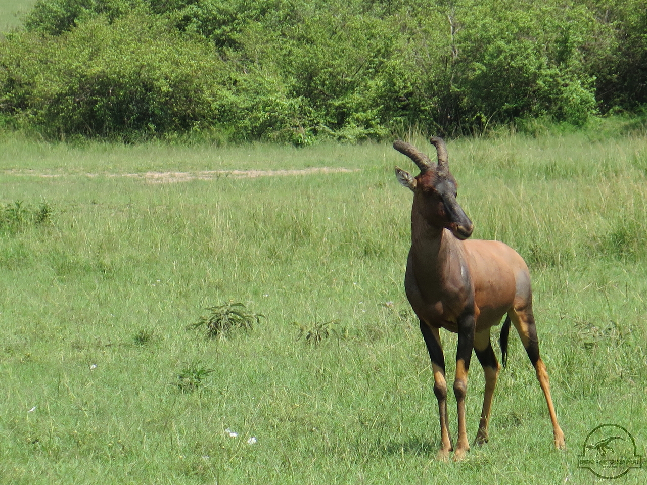 [192] 2019_07_01_05_19_18_Africa_Canon_PowerShot_G16_IMG_0244_00054.jpg