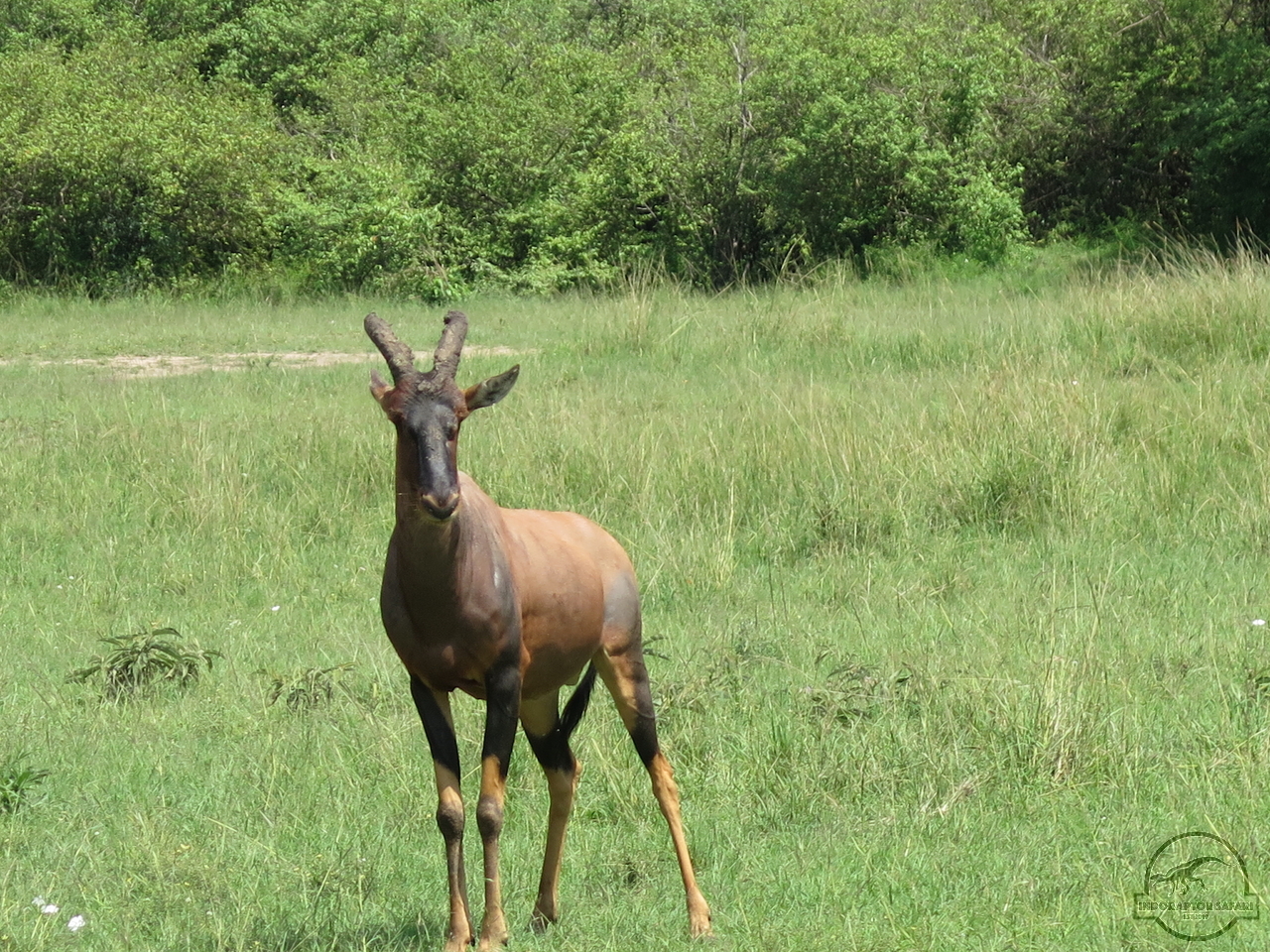 [196] 2019_07_01_05_19_20_Africa_Canon_PowerShot_G16_IMG_0245_00076.jpg