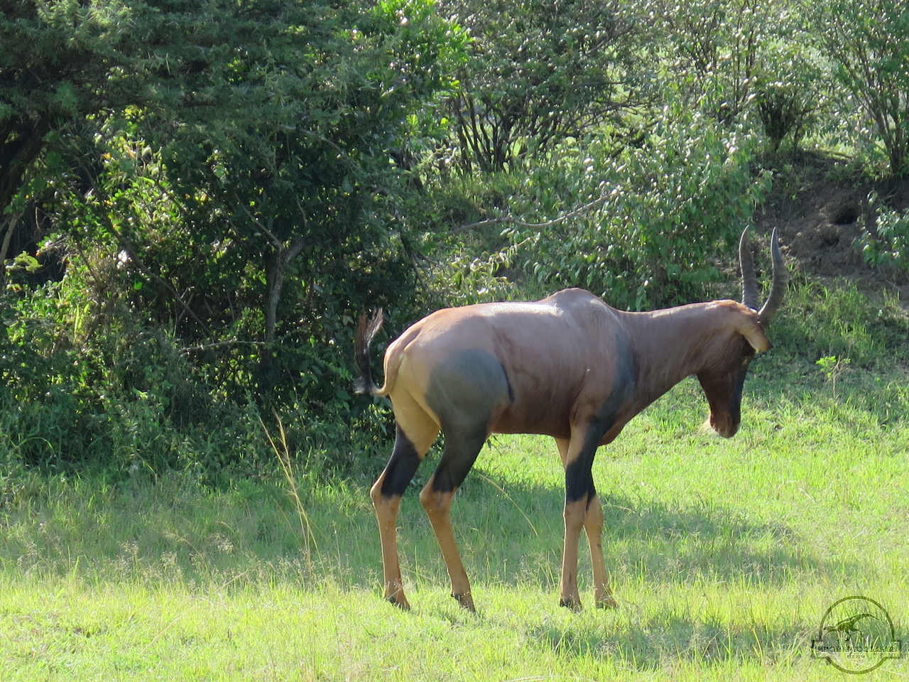 [202] 2019_06_30_02_24_35_Africa_Canon_PowerShot_G16_IMG_0006_00077.jpg