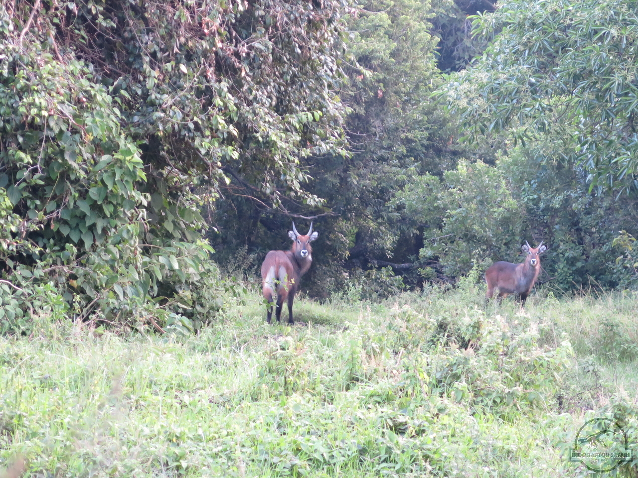 [206] 2019_06_30_11_14_31_Africa_Canon_PowerShot_G16_IMG_0324_00001.jpg