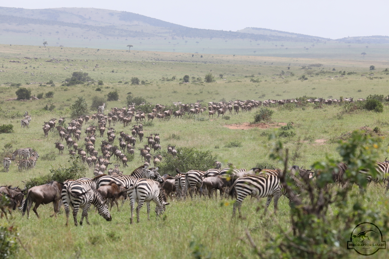 [235] 2019_07_02_17_25_50_Africa_Canon_EOS_5D_Mark_IV_IMG_0012845_00082.jpg