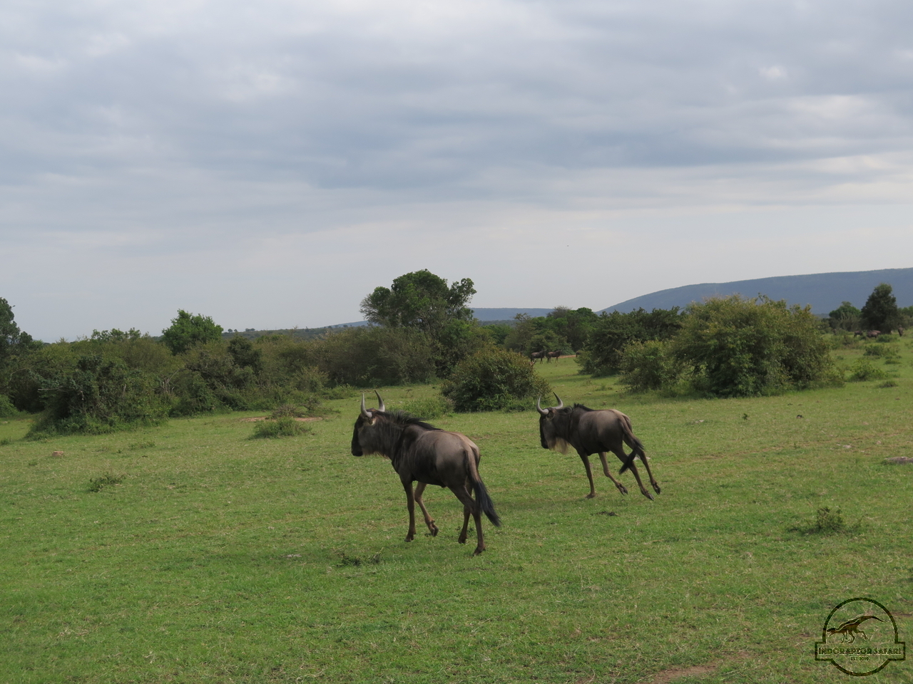 [240] 2019_07_04_02_25_25_Africa_Canon_PowerShot_G16_IMG_0005_00063.jpg