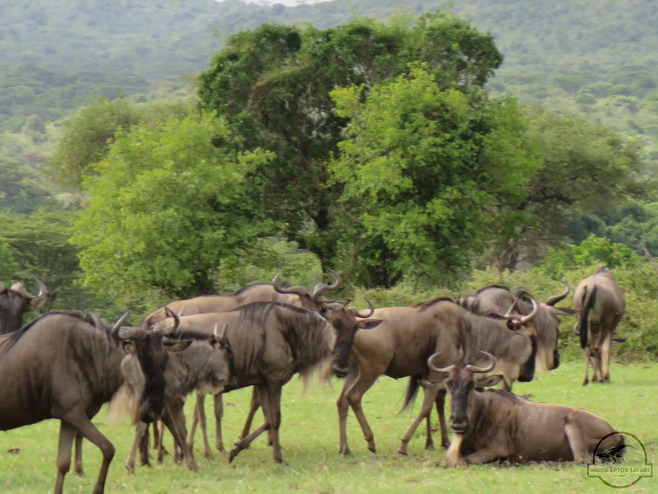 [242] 2019_07_04_02_25_34_Africa_Canon_PowerShot_G16_IMG_0006_00005.jpg