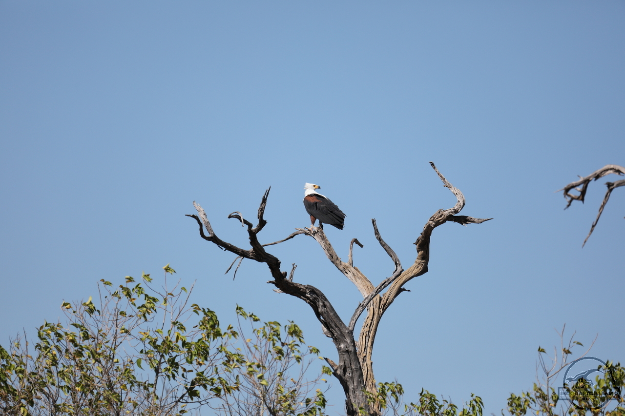 [250] 2019_06_20_15_56_14_Africa_Canon_EOS_5D_Mark_IV_IMG_0001234_00002.jpg