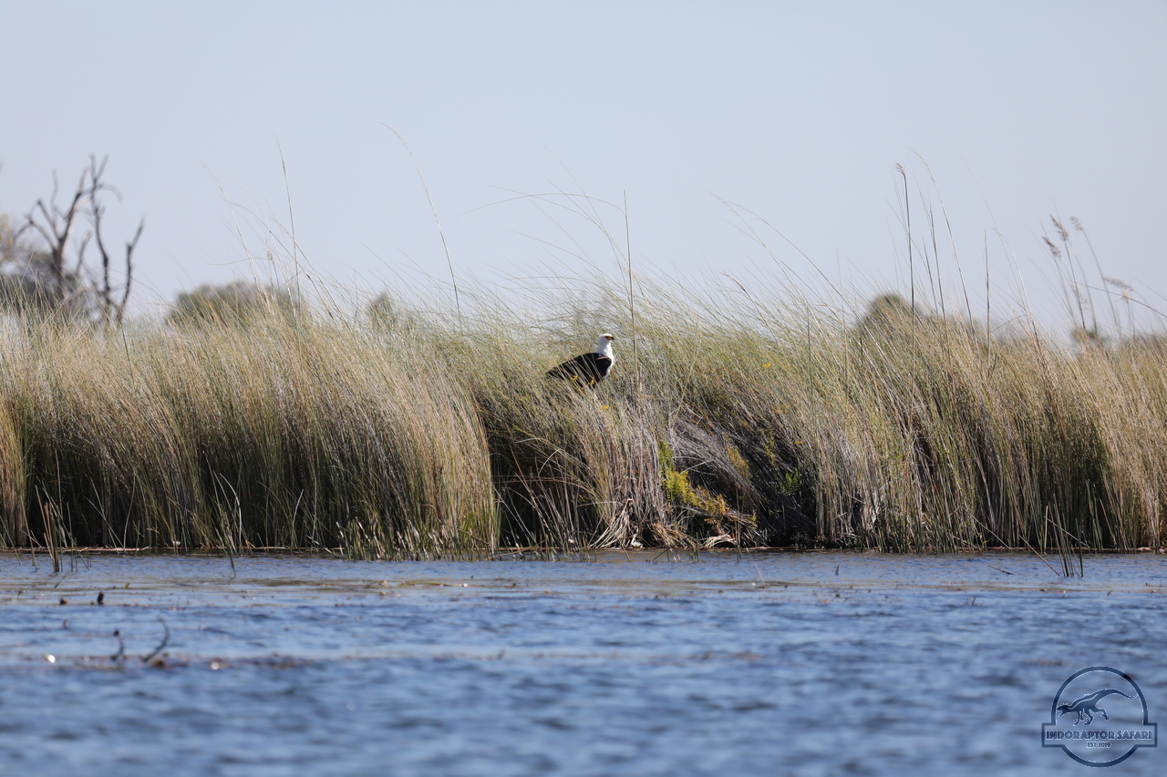 [253] 2019_06_21_17_09_20_Africa_Canon_EOS_5D_Mark_IV_IMG_0003915_00095.jpg
