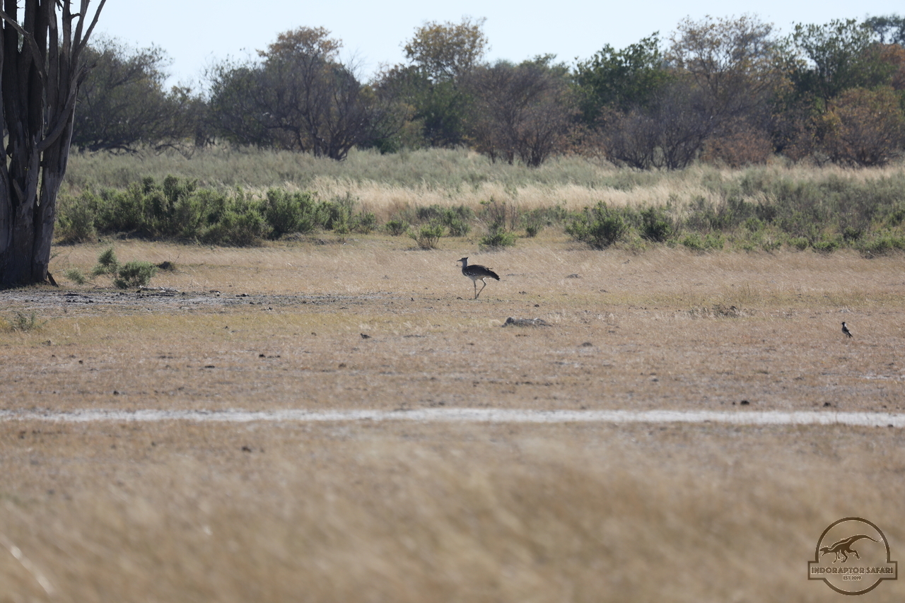 [292] 2019_06_20_14_39_20_Africa_Canon_EOS_5D_Mark_IV_IMG_0001046_00108.jpg
